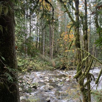 Wallace Falls State Park - Mossy trees and a rocky creek - Parks Near Me - Gold Bar, Washington Wallace Falls State Park - Mossy trees and a rocky creek - Parks Near Me - Gold Bar, Washington