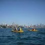 Photo of OzPaddle Rose Bay