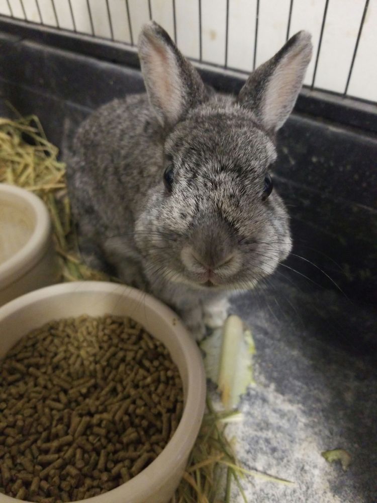 SLOPE BROOK FARM Updated October 2024 12 Photos 213 Heyers Mill