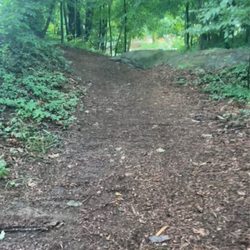 Keswick Park - Short trail from lawn