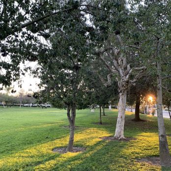 Veterans Park - Lots of trees on the exterior for doggies to smell - Parks Near Me - Cypress, California