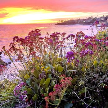 Heisler Park - Heisler park with a beautiful colorful sunset - Parks Near Me - Laguna Beach, California Heisler Park - Heisler park with a beautiful colorful sunset - Parks Near Me - Laguna Beach, California