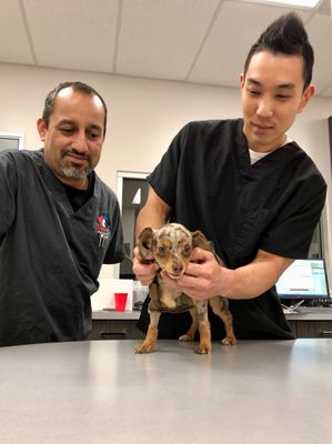 Emergency Pet Hospital Of Glendora 500 S Glendora Ave Glendora Ca Animal Hospitals Mapquest