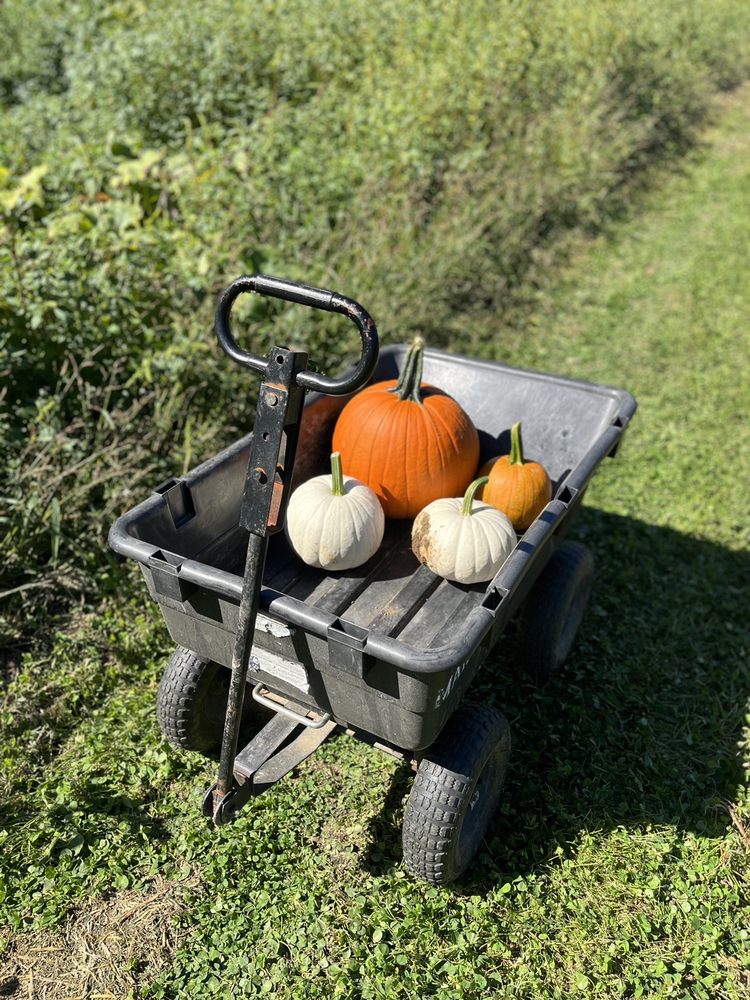 MAHAFFY RANCH Updated September 2024 10362 Hwy 241, Coos Bay