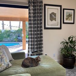 Calico - Drapery Panel