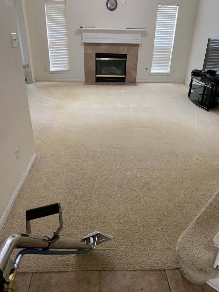 TEXAS STEAMER CLEANING SERVICES Updated September 2024 Request a