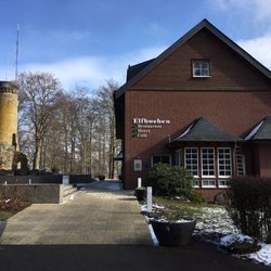 Elfbuchen