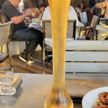 Yard House - Bars Near Me - Long Beach, California Yard House - Bars Near Me - Long Beach, California