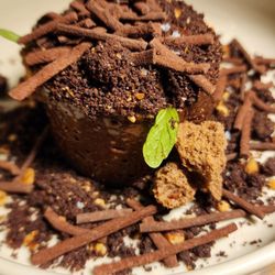 Cervejaria Brasão Aliados - Chocolate hazelnut mousse.  Great end to our meal