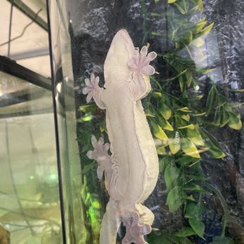 Phoenix Herpetological Society - Community Service/Non-Profit Near Me