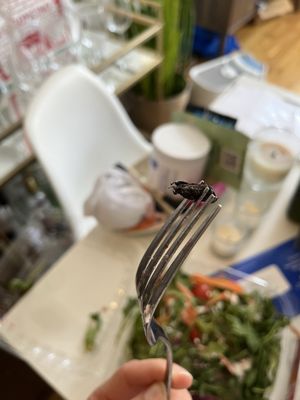 Brooklyn Hero Shop by null