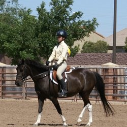 Leigh-Ann's Riding Academy