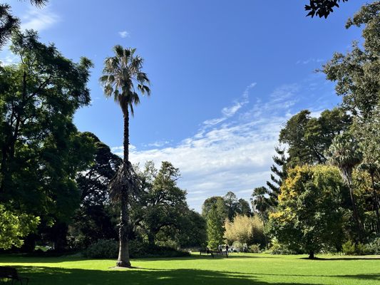 Royal Botanic Gardens Victoria - Melbourne Gardens by null