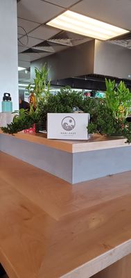 Nami Kaze Hawaii by null