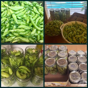 Davis Ranch, LLC - My peppers are done! - Fruits & Veggies Near Me - Sloughhouse, California Davis Ranch, LLC - My peppers are done! - Fruits & Veggies Near Me - Sloughhouse, California
