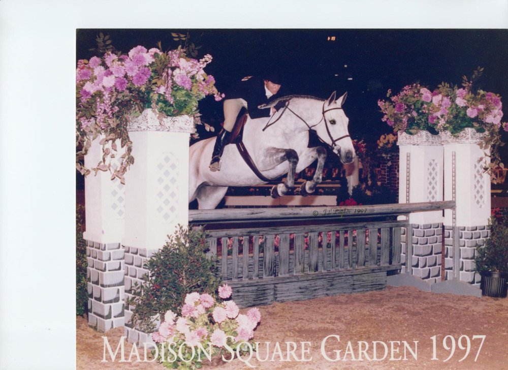 SHADY LANE FARM Updated October 2024 427 Birdsall Dr, Yorktown