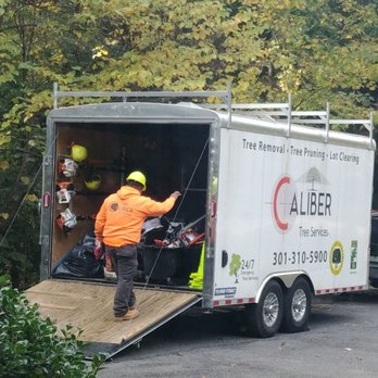 Caliber Tree Services - Unloading - Tree Services Near Me - Gambrills, Maryland