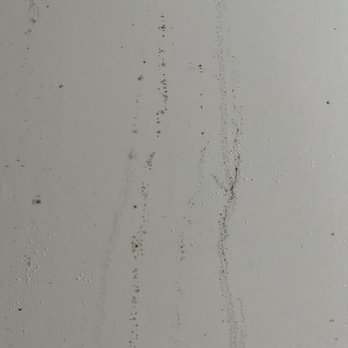 California Property Services - Black mold Ramona ave - Property Management Near Me - Pismo Beach, California California Property Services - Black mold Ramona ave - Property Management Near Me - Pismo Beach, California