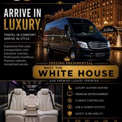 Executive Coaches