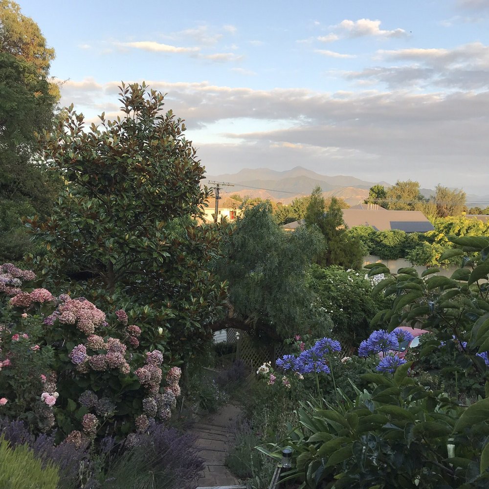 Olde Mill House B&B - Bed & Breakfast Near Me - Blenheim, MBH