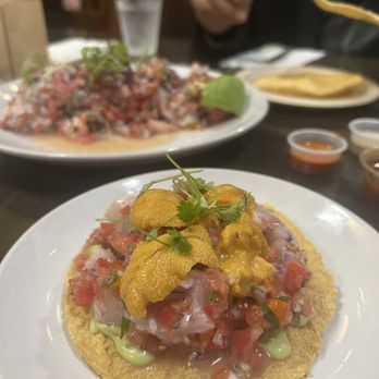 Holbox - Latin American Near Me - Los Angeles, California