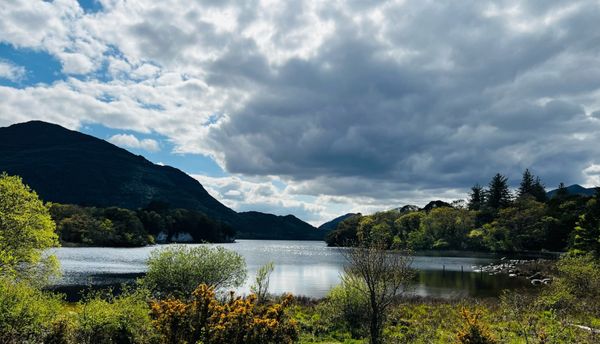 Muckross House by null