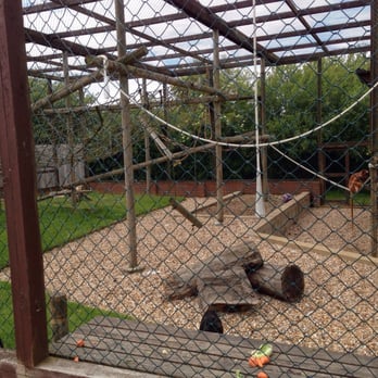 Owl & Monkey Haven - Zoos Near Me - Newport, IOW