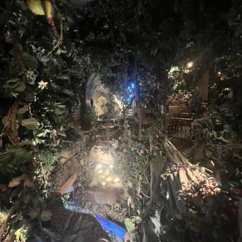 Rainforest Cafe - American Near Me - San Antonio, Texas Rainforest Cafe - American Near Me - San Antonio, Texas