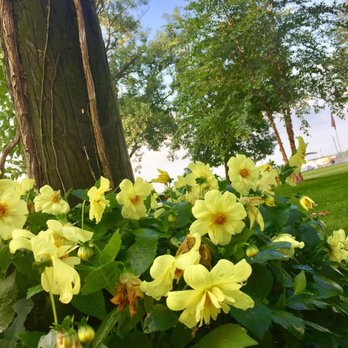 Wamplers Lake Cottage - Vacation Rental Agents Near Me - Brooklyn, Michigan Wamplers Lake Cottage - Vacation Rental Agents Near Me - Brooklyn, Michigan