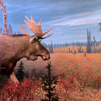 Royal Alberta Museum - Museums Near Me - Edmonton, Alberta