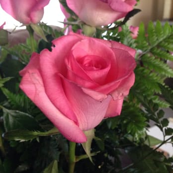 Bloom N Grow - Ruffed up around the edges. - Florists Near Me - Atascadero, California Bloom N Grow - Ruffed up around the edges. - Florists Near Me - Atascadero, California