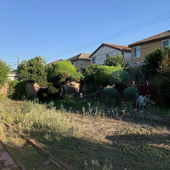 Newport Landscape - Before - Landscaping Near Me