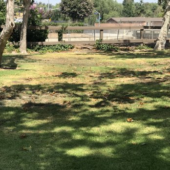 Gopher Squad - Before - Pest Control Near Me Gopher Squad - Before - Pest Control Near Me