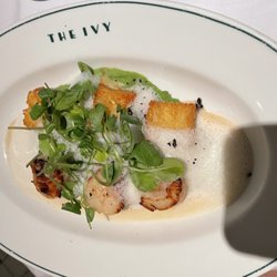 The Ivy