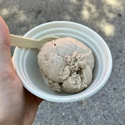 Planted Bloomington - Apple butter ice cream