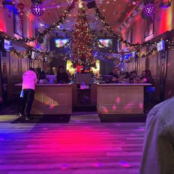 The Menagerie - Interior from dance flooe