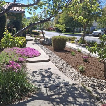 A.M Gardening Service - Lawn Services Near Me