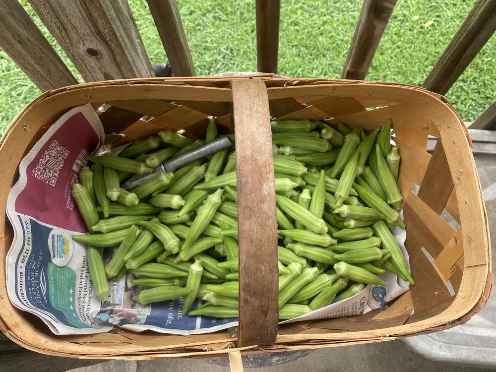 Route 2 Farm - beekeeping in Andrews, SC