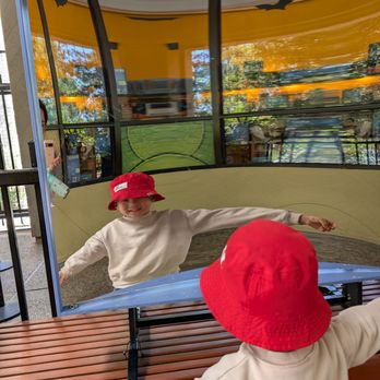 CuriOdyssey - The mirrors were fun. - Zoos Near Me - San Mateo, California