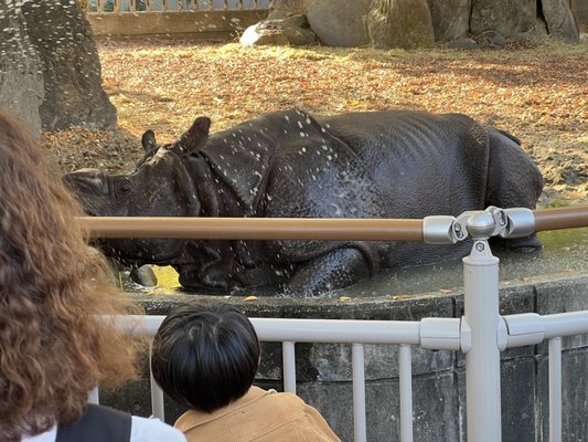 Higashiyama Zoo and Botanical Gardens by null