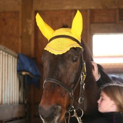 Thunderbay Riding Academy