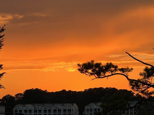 Bluecoast Seafood Grill & Raw Bar Rehoboth by null