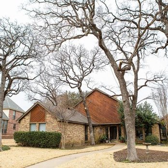 B&M Tree Service - Tree Services Near Me - Colleyville, Texas B&M Tree Service - Tree Services Near Me - Colleyville, Texas