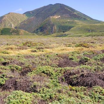 Montana de Oro State Park - Parks Near Me - Los Osos, California