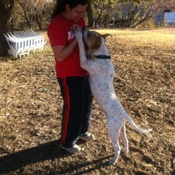 Furever Tender Pet Care