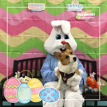 PetSmart Grooming - Pet Training Near Me - Ocala, Florida