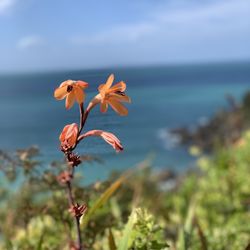 Fishermans Rock - Breathtaking views