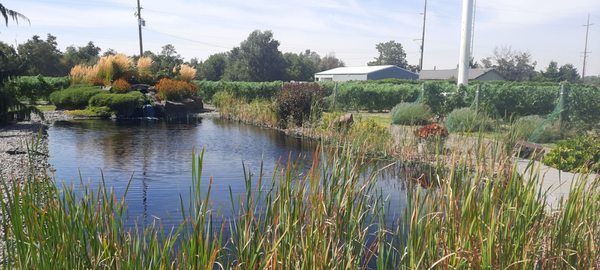 Saviah Cellars by null