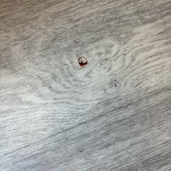 Docs Urgent Care East Haven - Blood on floor