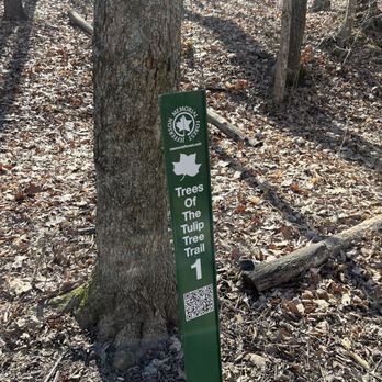 Tulip Tree Trail - Hiking Near Me - Louisville, Kentucky Tulip Tree Trail - Hiking Near Me - Louisville, Kentucky